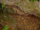 Thumbs/tn_DSC02657.jpg