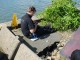 Thumbs/tn_DSC02678.jpg