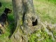 Thumbs/tn_DSC02473.jpg