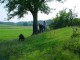 Thumbs/tn_DSC02477.jpg