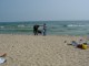 Thumbs/tn_DSC02463.jpg