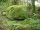 Thumbs/tn_DSC02446.jpg