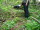 Thumbs/tn_DSC02447.jpg