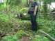 Thumbs/tn_DSC02448.jpg