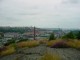 Thumbs/tn_DSC02530.jpg