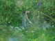 Thumbs/tn_DSC02375.jpg