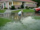 Thumbs/tn_DSC02495.jpg
