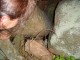 Thumbs/tn_DSC02630.jpg