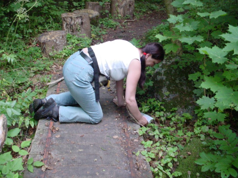 ../Images/DSC02434.jpg