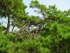 Thumbs/tn_DSC02465.jpg
