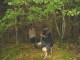 Thumbs/tn_DSC02576.jpg