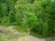 Thumbs/tn_DSC02539.jpg