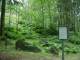 Thumbs/tn_DSC02542.jpg