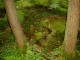 Thumbs/tn_DSC02544.jpg