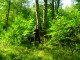 Thumbs/tn_DSC02311.jpg