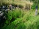 Thumbs/tn_DSC02314.jpg