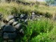 Thumbs/tn_DSC02315.jpg