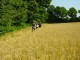 Thumbs/tn_DSC02356.jpg