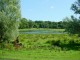 Thumbs/tn_DSC02288.jpg