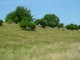 Thumbs/tn_DSC02383.jpg
