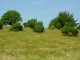 Thumbs/tn_DSC02384.jpg