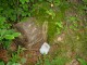 Thumbs/tn_DSC02412.jpg