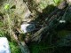 Thumbs/tn_DSC02282.jpg