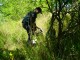 Thumbs/tn_DSC02284.jpg