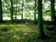Thumbs/tn_DSC02390.jpg