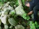 Thumbs/tn_DSC02392.jpg