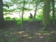Thumbs/tn_DSC02394.jpg