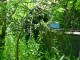 Thumbs/tn_DSC02273.jpg