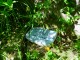 Thumbs/tn_DSC02275.jpg