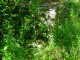 Thumbs/tn_DSC02276.jpg