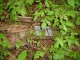 Thumbs/tn_DSC02404.jpg