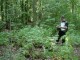 Thumbs/tn_DSC02407.jpg