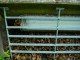 Thumbs/tn_DSC02255.jpg