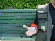 Thumbs/tn_DSC02256.jpg