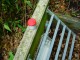 Thumbs/tn_DSC02257.jpg