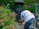 Thumbs/tn_DSC02258.jpg