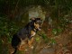 Thumbs/tn_DSC02421.jpg