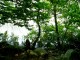 Thumbs/tn_DSC02396.jpg