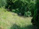 Thumbs/tn_DSC02369.jpg