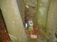 Thumbs/tn_DSC02335.jpg