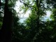 Thumbs/tn_DSC02336.jpg