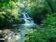 Thumbs/tn_DSC02317.jpg