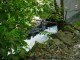 Thumbs/tn_DSC02689.jpg
