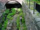 Thumbs/tn_DSC02697.jpg