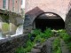 Thumbs/tn_DSC02698.jpg