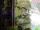 Thumbs/tn_DSC02702.jpg